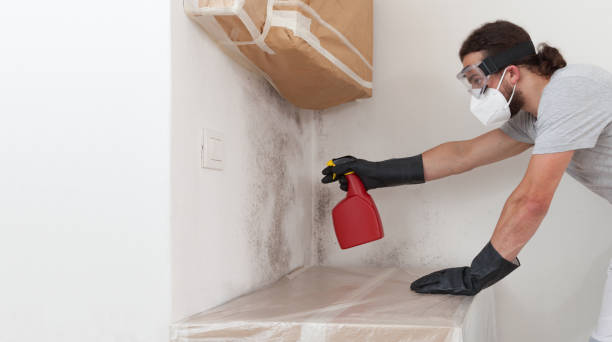 Professional Attic Mold Remediation technician working in Corapeake, NC